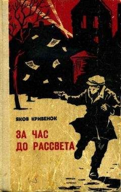 Александр Ломм - В темном городе