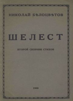 Сергей Соловьев - Смерть птички