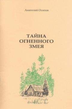 Ярослав Фоглар - Тайна головоломки