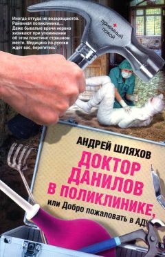 Андрей Шляхов - Доктор Данилов в дурдоме, или Страшная история со счастливым концом