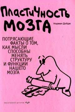 Джилл Тейлор - Мой инсульт был мне наукой. История собственной болезни, рассказанная нейробиологом