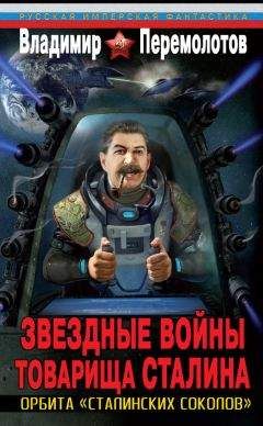 Владимир Перемолотов - Звездные войны товарища Сталина. Орбита «сталинских соколов»