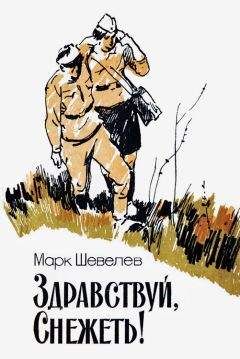 Виталий Самодум - Истоки. О Ведах, ариях, свастике, горе Меру и саках