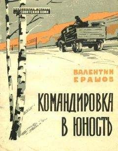 Илья Веселов - Три года в тылу врага