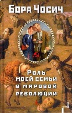 Бора Чосич - Записная книжка Музиля