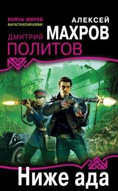 Дмитрий Политов - Небо в огне. Штурмовик из будущего