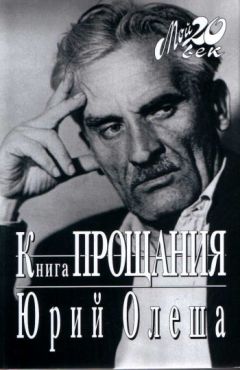  Аноним - Дневник кислородного вора. Как я причинял женщинам боль