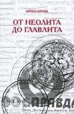 Брозиус Бернхард - Социальная революция в эпоху неолита: от Чаеню к Чатал-Гююку