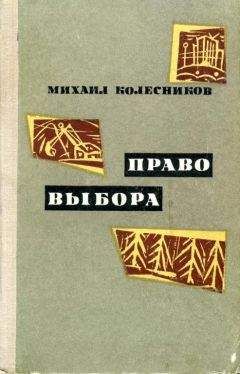 Всеволод Кочетов - Журбины