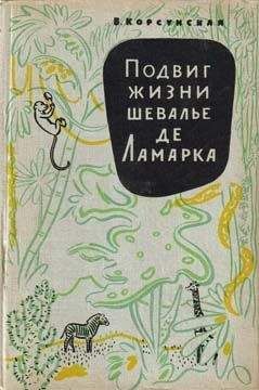 Михаил Ильин - Воспоминания и необыкновенные путешествия Захара Загадкина