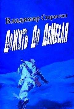 Владимир Старостин - Дожить до дембеля