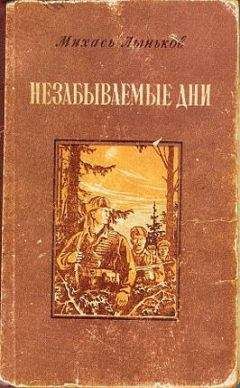 Михаил Домогацких - Южнее реки Бенхай