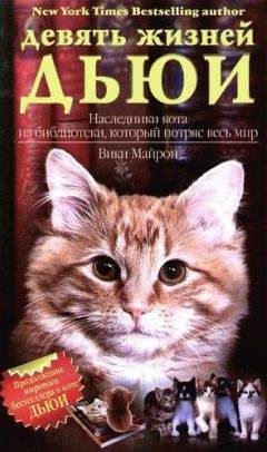 Пётр Столпянский - Старый Петербург: Адмиралтейский остров: Сад трудящихся