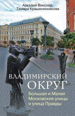 Аркадий Векслер - Такая удивительная Лиговка