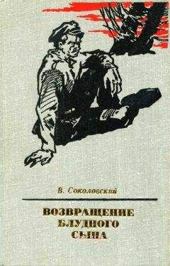 Анатолий Афанасьев - Возвращение из мрака