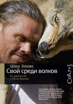 Борис Воробьев - Весьёгонская волчица