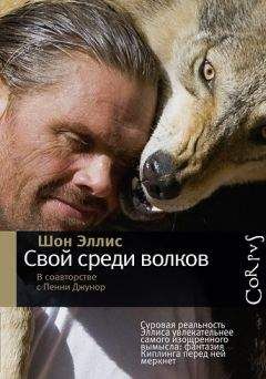 Сергей Жигалов - Бродячие собаки