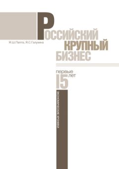 Яков Паппэ - Российский крупный бизнес: первые 15 лет. Экономические хроники 1993-2008 гг.