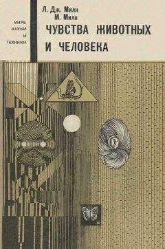 Хел Херцог - Радость, гадость и обед