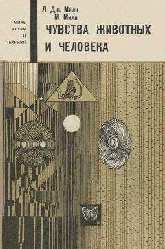 Николай Дроздов - В мире животных