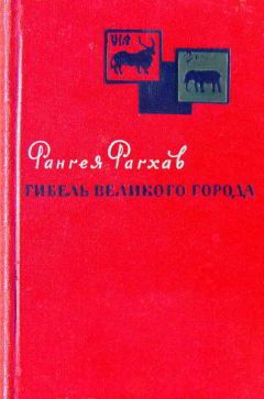 Руй Кастро - Рио-де-Жанейро: карнавал в огне