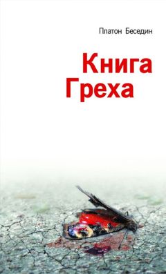 Платон Беседин - Книга греха