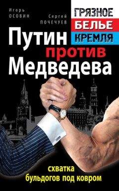 Алексей Челноков - Болевые приемы Путина. Удушающий захват для России