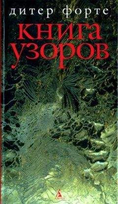 Дитер Форте - Книга узоров