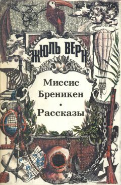 Жюль Верн - Найденыш с погибшей «Цинтии»