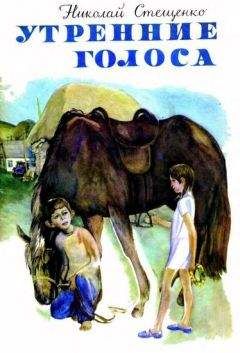 Нисон Ходза - Путешествие без карты