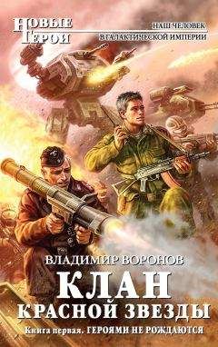 Владимир Воронов - Клан Красной Звезды. Техника победителей
