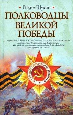Борис Соколов - Неизвестный Жуков: портрет без ретуши в зеркале эпохи