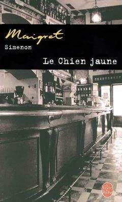 Simenon, Georges - Maigret aux assises