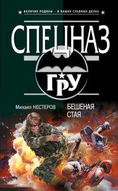 Михаил Нестеров - Вольные стрелки