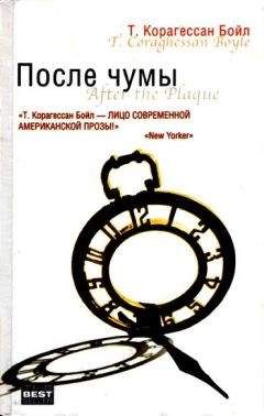 Т. Корагессан Бойл - Дорога на Вэлвилл