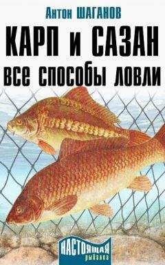 Антон Шаганов - Рыболовные сети и экраны