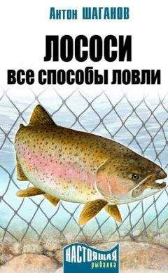 Антон Шаганов - Рыболовные сети и экраны