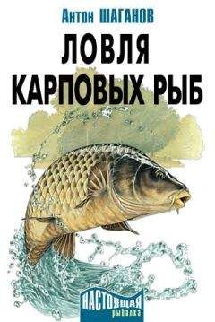 Антон Шаганов - Ловля карповых рыб – 2