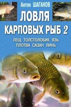 Ирина Катаева - Особенности ловли рыб семейства карповых
