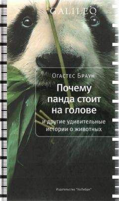 Хел Херцог - Радость, гадость и обед