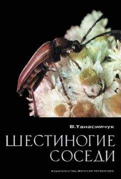 Сергей Болушевский - 100 научных опытов для детей и взрослых в комнате, на кухне и на даче