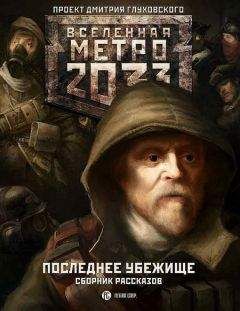 Валерий Пылаев - Метро 2033. Выборг