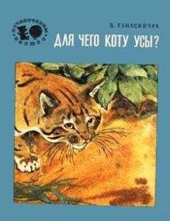 Владимир Левшин - Путевые заметки рассеянного магистра