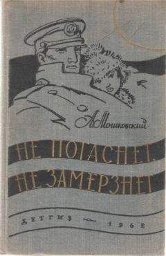 Анатолий Мошковский - В пасмурный день
