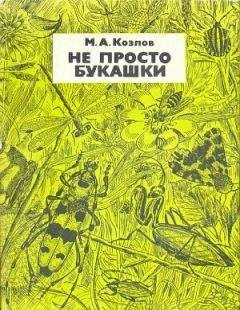 Любовь Кашинская - Мир животных