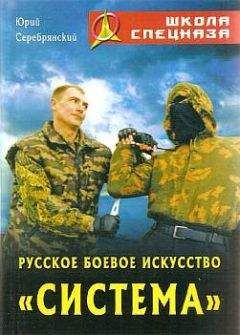 Андрей Григорьев - Боевое айкидо. Философия боя. Система обороны