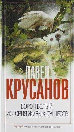 Павел Крусанов - Американская дырка