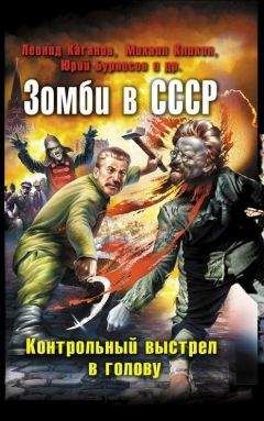 Андрей Каминский - Проект 