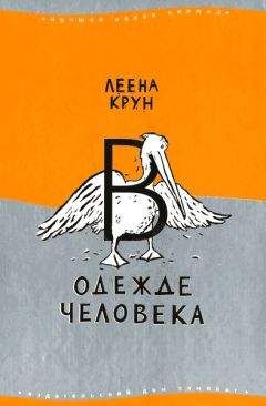 Александр Ионов - В поисках дискретиков