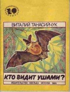 Сесиль Лупан - Поверь в своё дитя